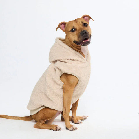 Teddy Sherpa Dog Jackets