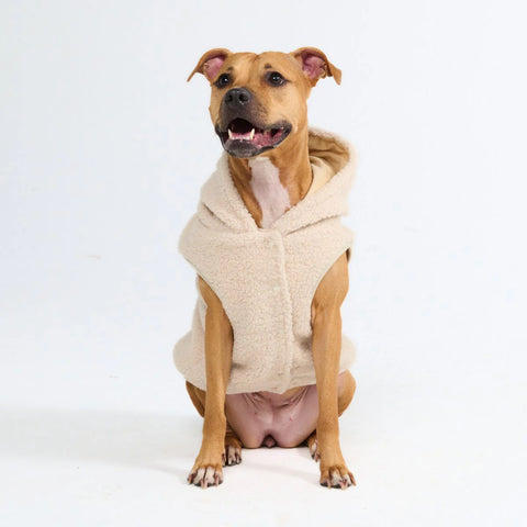 Teddy Sherpa Dog Jacket - Beige