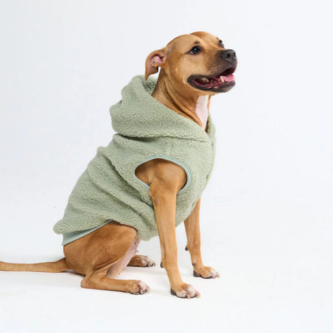 Teddy Sherpa Dog Jackets