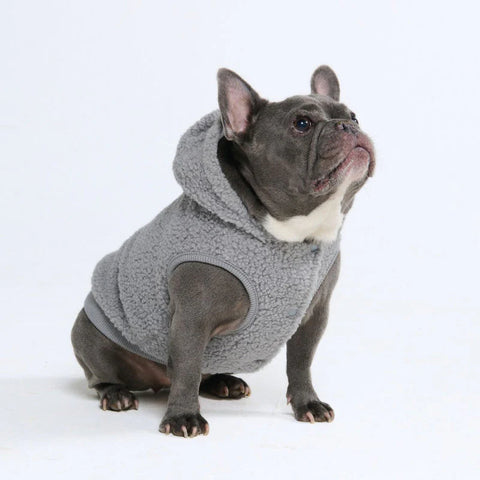 Teddy Sherpa Dog Jackets