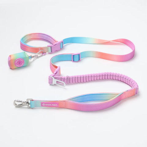 Multipurpose Seatbelt Handsfree Leash & Poop Bag Holder Set