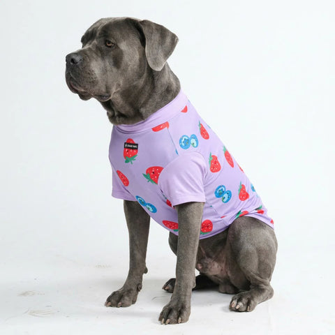 Sunblock Dog T-Shirt - Berries