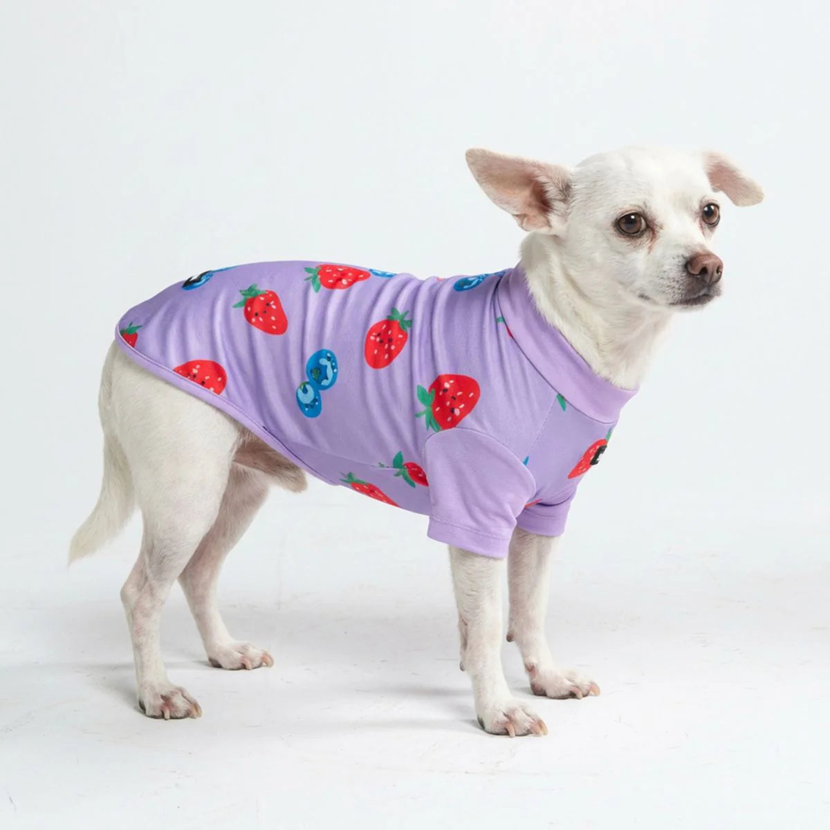 Sunblock Dog T-Shirt - Berries