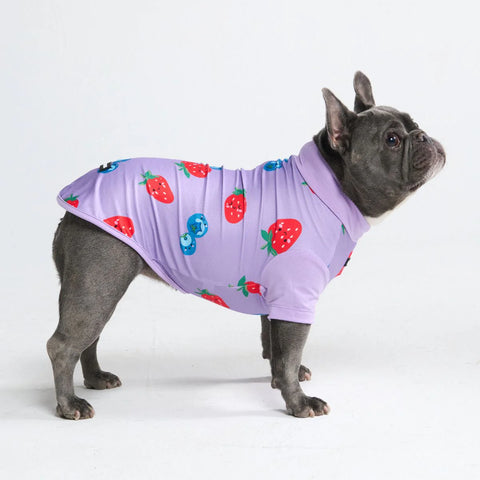 Sunblock Dog T-Shirt - Berries