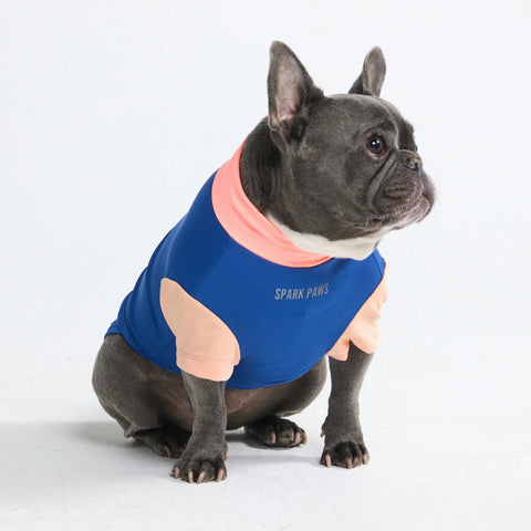 Sunblock Dog T-Shirt - Blue Hawaiian