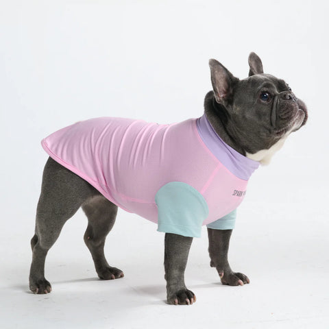 Sunblock Dog T-Shirt - Gelato