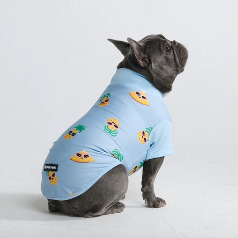 Sunblock Dog T-Shirt - Pineapple