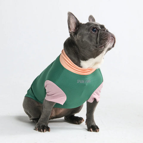 Sunblock Dog T-Shirt - Pistachio