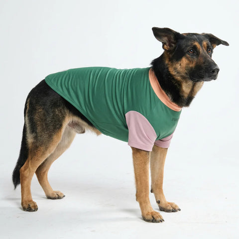 Sunblock Dog T-Shirt - Pistachio