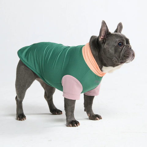 Sunblock Dog T-Shirt - Pistachio