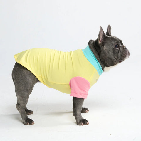 Sunblock Dog T-Shirt - Yuzu