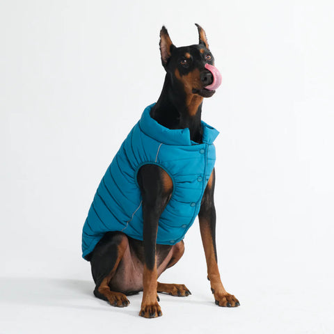 WarmShield Water-Resistant Jacket - Teal