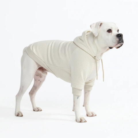 Essential Dog Hoodie - Oatmeal Heather