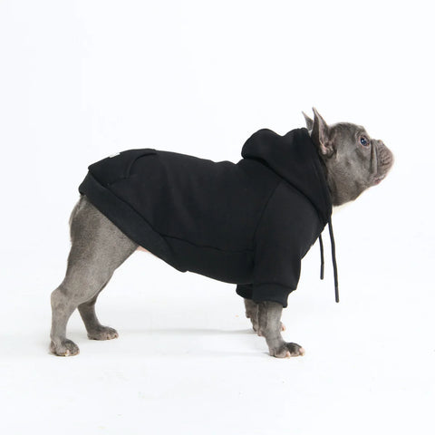 Essential Dog Hoodie - Black