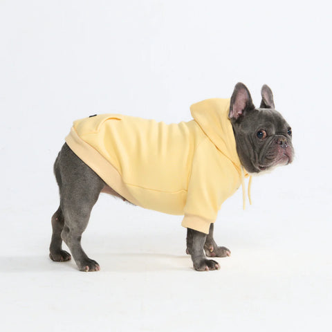 Essential Dog Hoodie - Buttercream