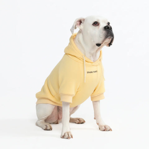 Essential Dog Hoodie - Buttercream