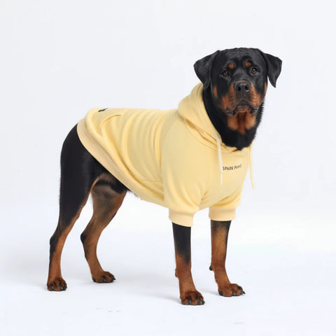 Essential Dog Hoodie - Buttercream