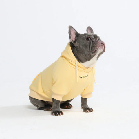 Essential Dog Hoodie - Buttercream