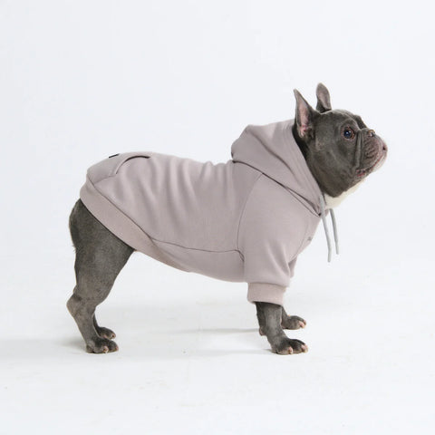 Essential Dog Hoodie - Clay