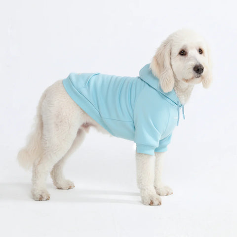 Essential Dog Hoodie - Baby Blue