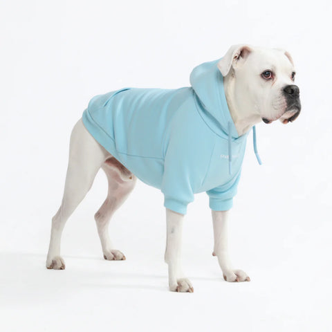 Essential Dog Hoodie - Baby Blue