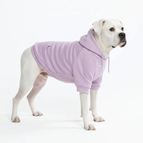 Essential Dog Hoodie - Lavender