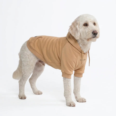 Essential Dog Hoodie - Caramel