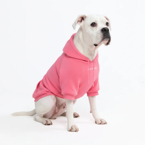 Essential Dog Hoodie - Blush Pink