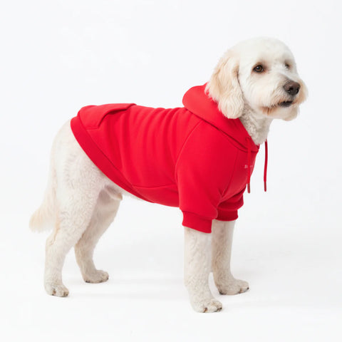 Essential Dog Hoodie - Crimson Red