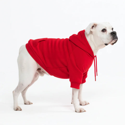 Essential Dog Hoodie - Crimson Red