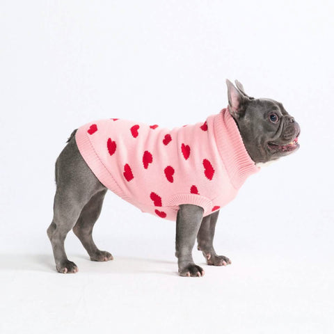 Hearts Knit Dog Sweater
