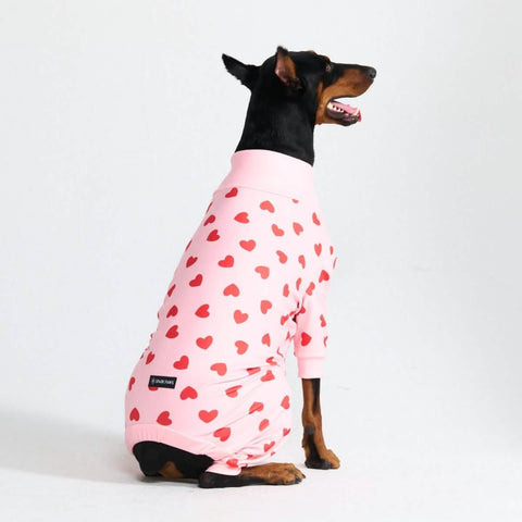 Dog Pajama - Pink Hearts