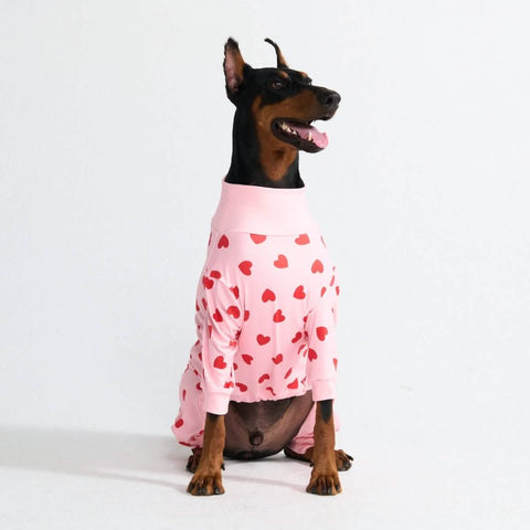 Dog Pajama - Pink Hearts