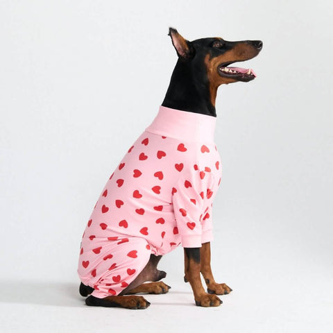 Dog Pajama - Pink Hearts