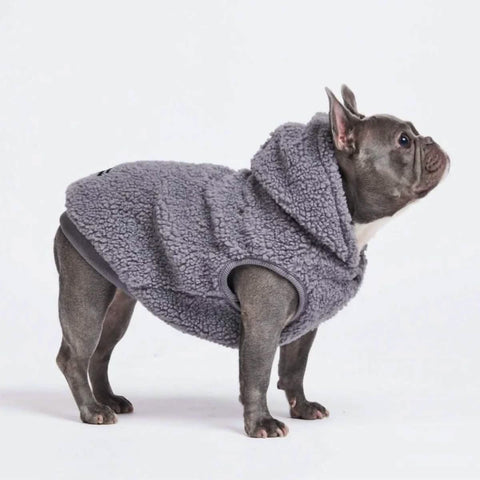 Teddy Sherpa Dog Jackets