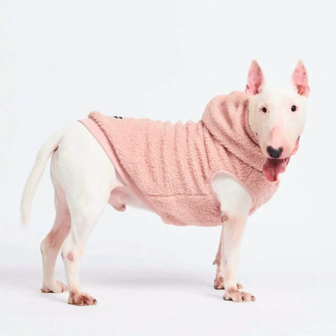 Teddy Sherpa Jacket - Pink