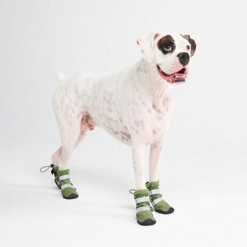 Flex Shell Waterproof Dog Boots - Green