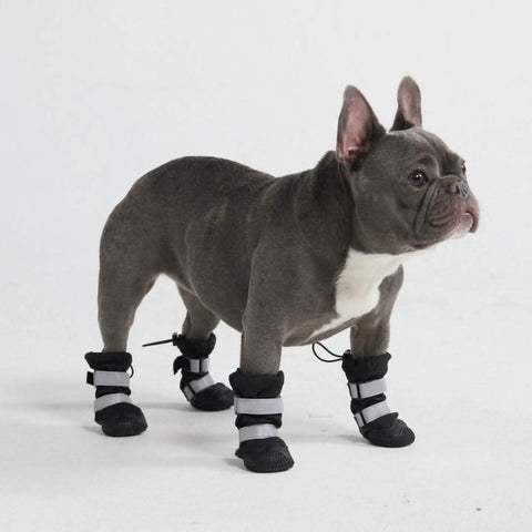 Flex Shell Waterproof Dog Boots - Black