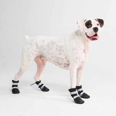 Flex Shell Waterproof Dog Boots - Black