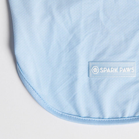 Sunblock Dog T-Shirt - Blue