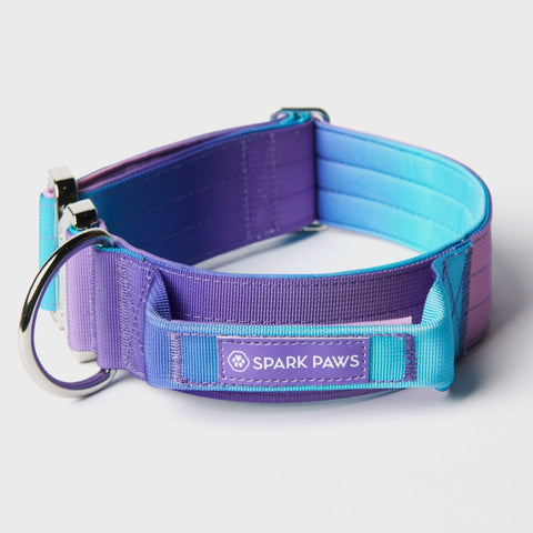Comfort Control Collar Set - 90s Retro