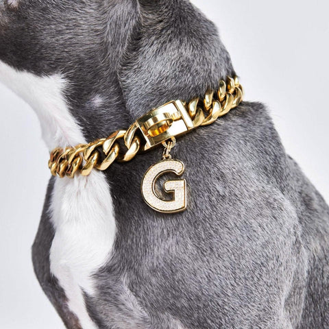 Initial Letter Jewelry Tag - G